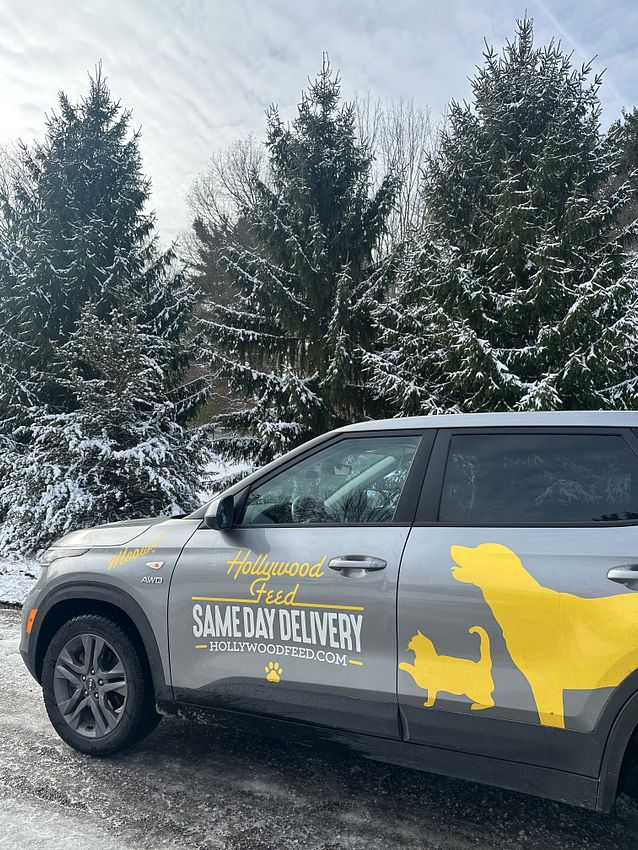 Same Day Delivery vehicle in the snow