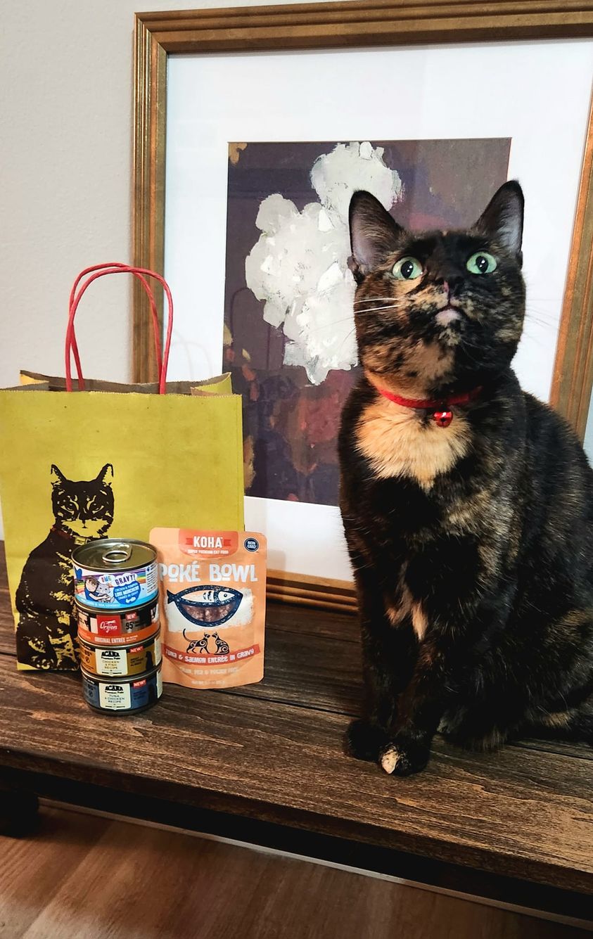 tortie cat sitting next to cat food on a wooden table