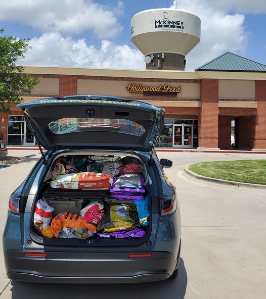 Car with dog food in it