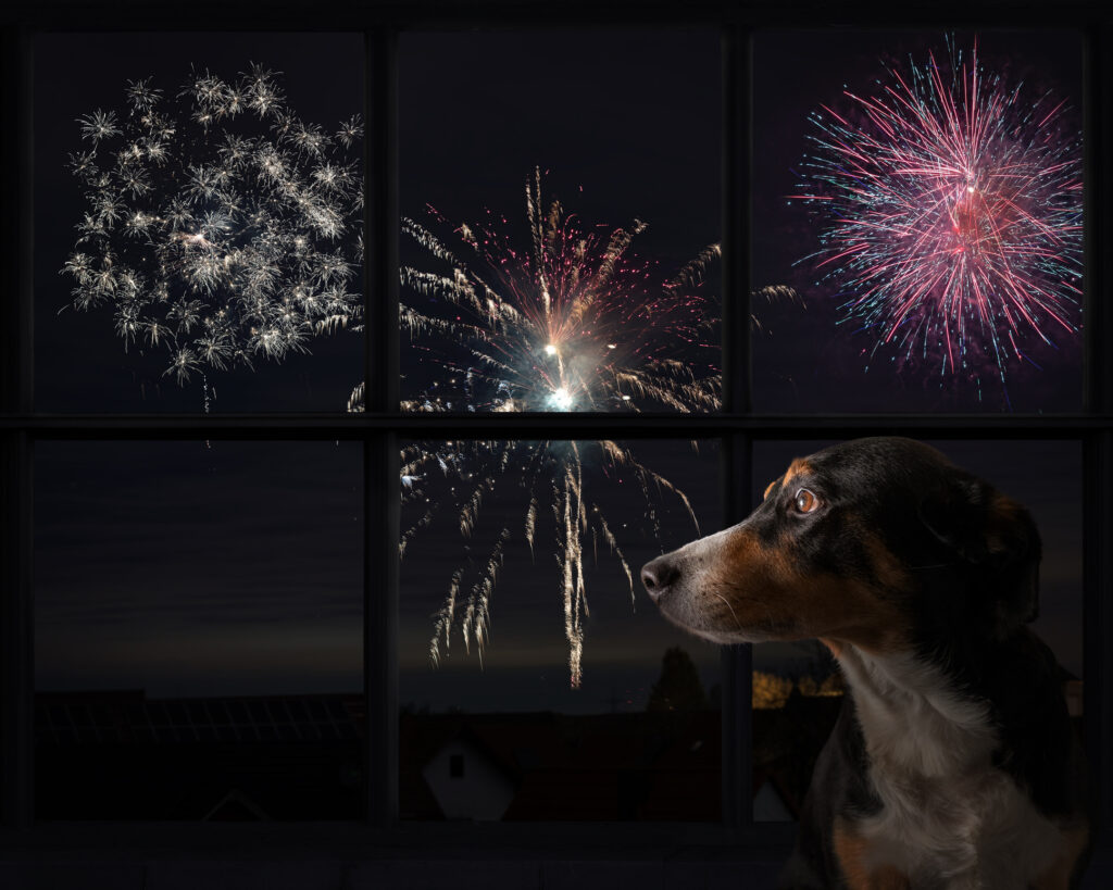 GettyImages-1353458202-1024x819.jpg